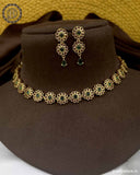 Elegant Premium Quality Necklace JH3588