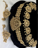 Latest Gold Plated Elegant South Indian Temple Design Bridal Jewellery Set JH3690