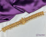 Elegant Gold Finish Antique Hip Chain JH3975