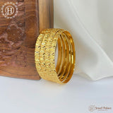 Premium Quality Micro Plated Bangles JH7138