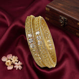 Elegant Premium Quality American Diamond Bangles JH7692